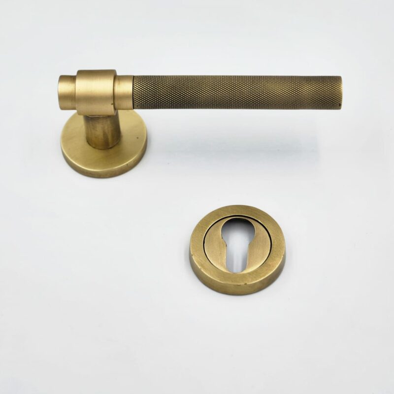 Poignée et bouton de porte à longues plaques pour portes d'entrée - art  nouveau - modèle Hardegg - laiton poli