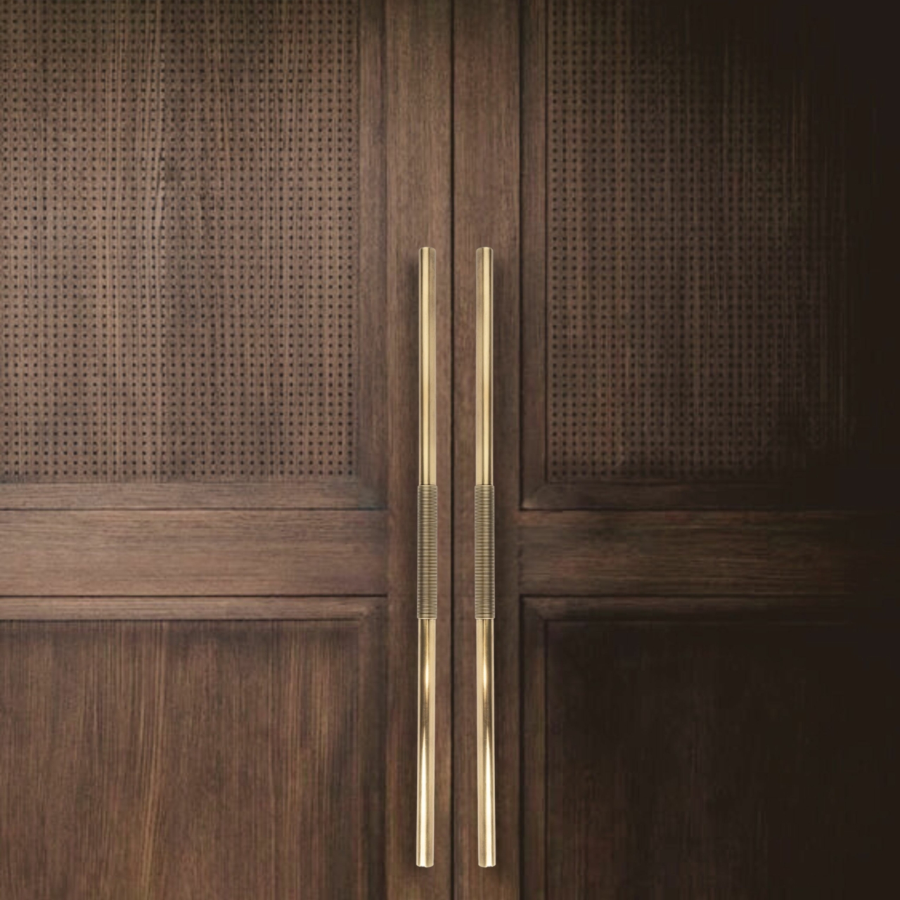Brass door pull